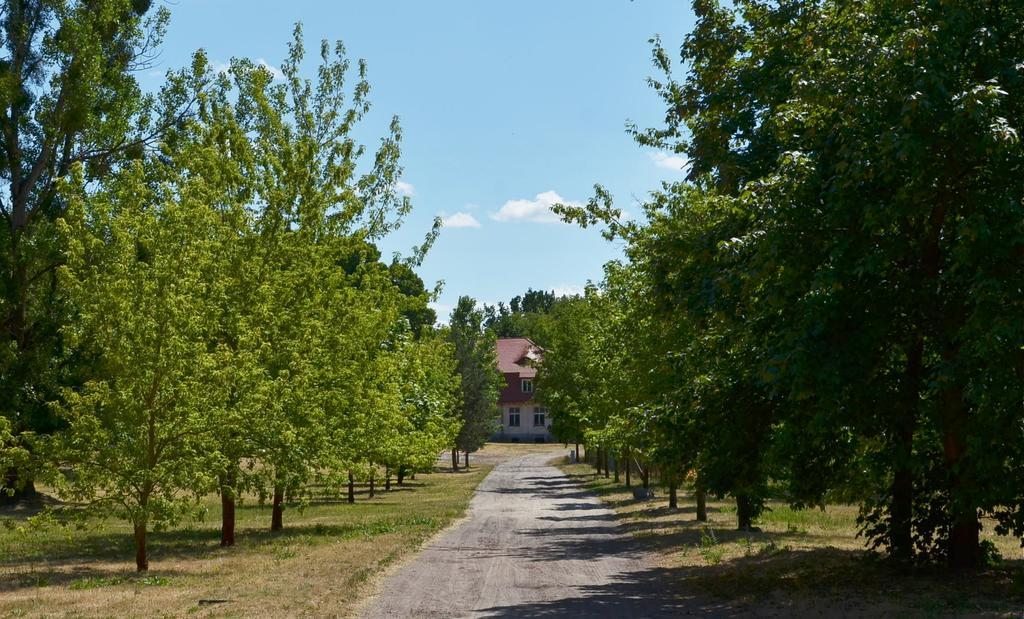 Gospodarstwo Nad Jeziorem Zalom  エクステリア 写真