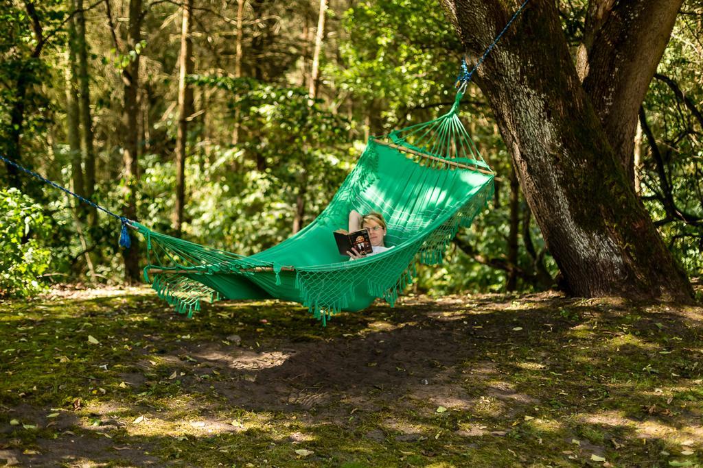 Gospodarstwo Nad Jeziorem Zalom  エクステリア 写真