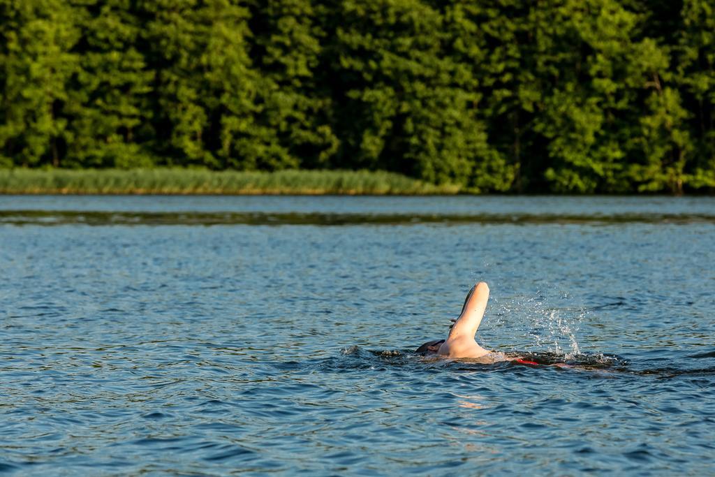 Gospodarstwo Nad Jeziorem Zalom  エクステリア 写真