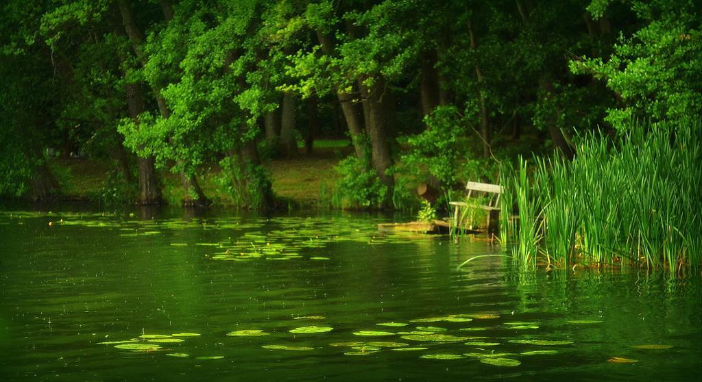 Gospodarstwo Nad Jeziorem Zalom  エクステリア 写真