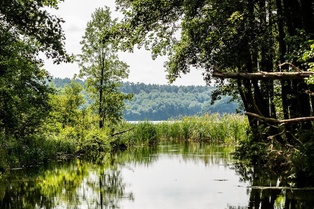 Gospodarstwo Nad Jeziorem Zalom  エクステリア 写真