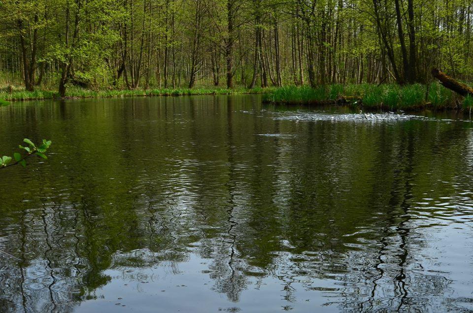 Gospodarstwo Nad Jeziorem Zalom  エクステリア 写真